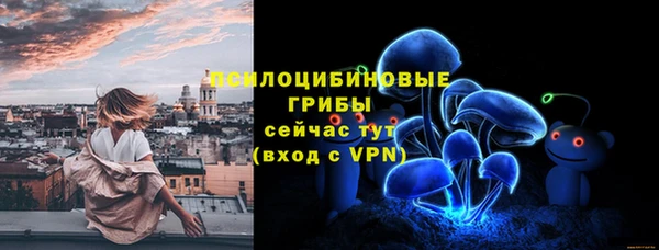 PSILOCYBIN Михайловск