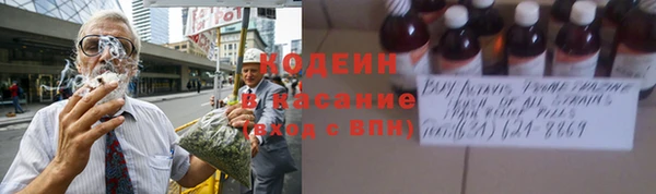 герыч Мегион
