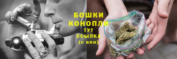 молекула духа Медвежьегорск