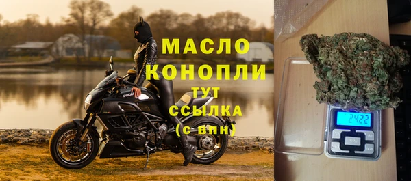 молекула духа Медвежьегорск