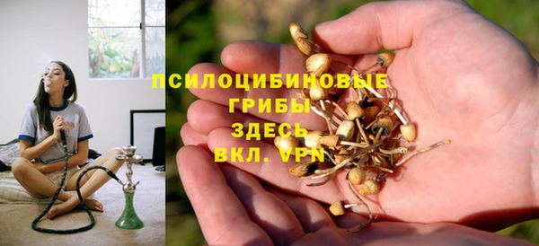 герыч Мегион