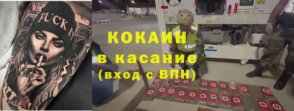 сатива Михайлов