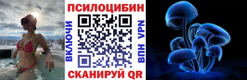 Псилоцибиновые грибы Psilocybe Заозёрск