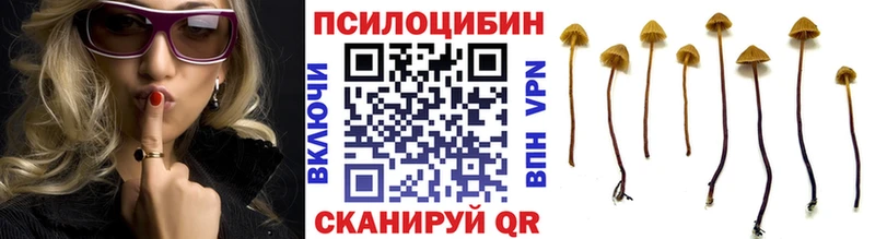 Галлюциногенные грибы мухоморы  KRAKEN   Заозёрск 