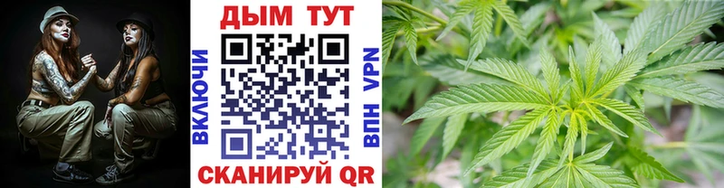 наркошоп Заозёрск Конопля конопля